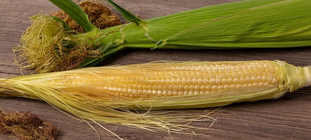 Mısır püskülü nelere iyi gelir? Mısır püskülü ne zaman içilmeli?