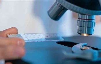 Mitokondri nedir? Mitokondri ne işe yarar?