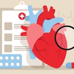 Mitral Kapak Yetmezliği Nedir?