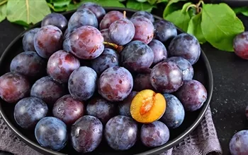 Mürdüm eriği nedir? Mürdüm eriğinin faydaları nelerdir?