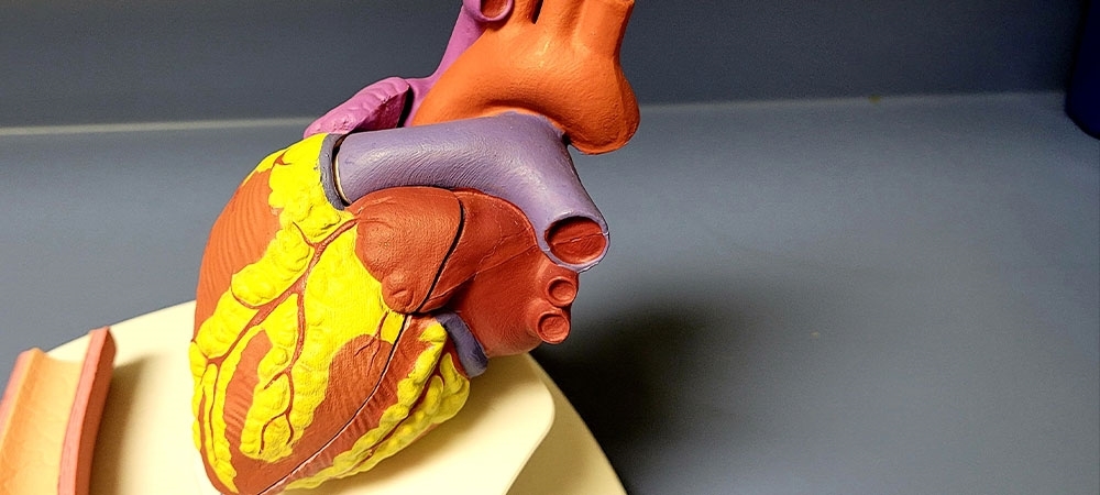 Miyokardit belirtileri nelerdir? Miyokardit tedavisi nasıl olur?
