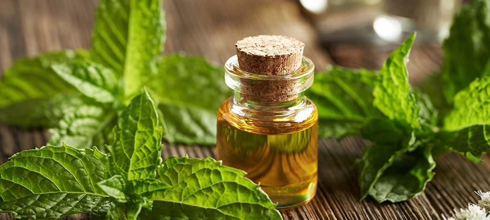 Nane yağı nedir? Nane yağının faydaları neler?