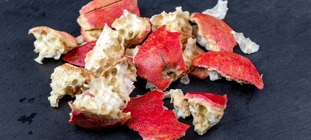 Nar kabuğu neye iyi gelir? Nar kabuğunun besin değeri