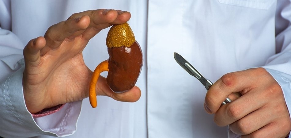 Nefrektomi ameliyatı nedir? Nefrektomi ne zaman yapılır?