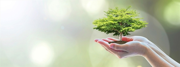 Ozon terapi bir çok derde deva oluyor  