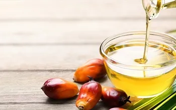 Palm yağı nedir? Palm yağı zararlı mı?