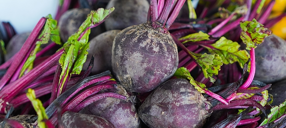 Pancar nelere iyi gelir? Pancarın faydaları nelerdir?
