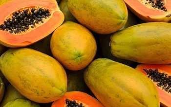 Papaya meyvesi neye iyi gelir? Papayanın faydaları nelerdir?