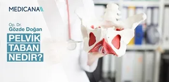Pelvik Taban Nedir?