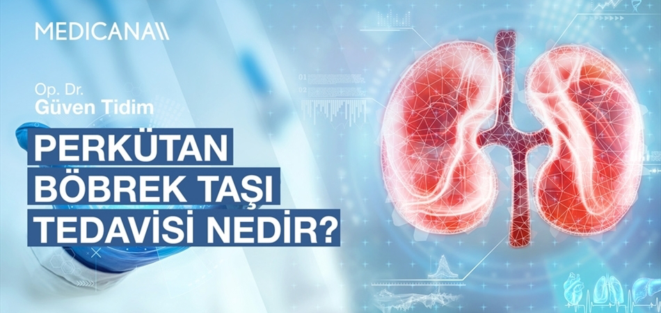 Perkütan Böbrek Taşı Tedavisi Nedir?