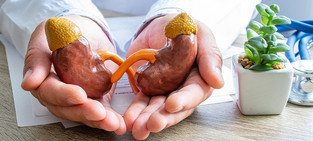 Perkütan nedir? Perkütan nefrolitotomi ne kadar sürer?