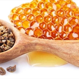 Propolis Nedir? Nasıl kullanılır?