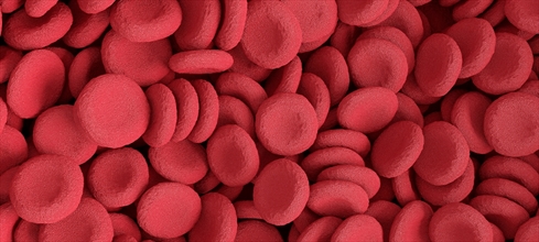 Akdeniz anemisi nedir? Akdeniz anemisi belirtileri nelerdir?