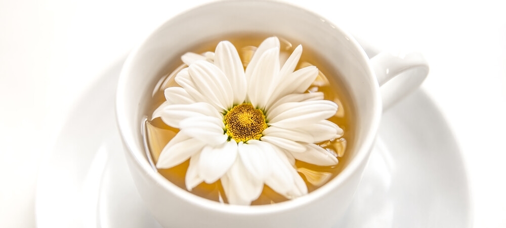 Papatya çayı faydaları nelerdir? Papatya çayı neye işe yarar?