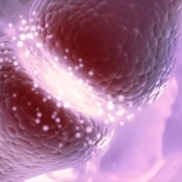 Serotonin Nedir? Beyindeki serotonin Nasıl Artırılır? 