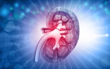 Böbrek Hastalıkları ve Genel Tedavi Yaklaşımları