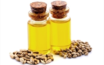 Fitoterapi ile Sağlıklı Yaşam