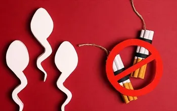 Sigara üreme sağlığını nasıl etkiler? Sigarayı bıraktıktan sonra sperm kalitesi artar mı?