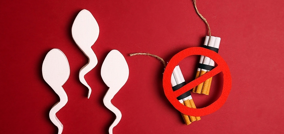 Sigara üreme sağlığını nasıl etkiler? Sigarayı bıraktıktan sonra sperm kalitesi artar mı?