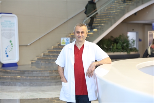 Dr. Öğr. Üyesi Şit Uçar