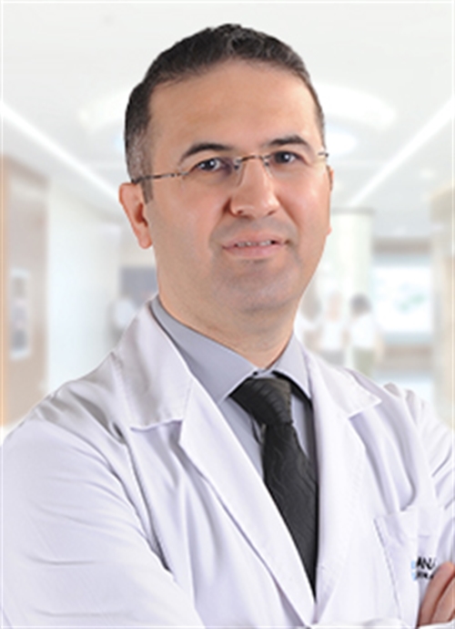 Dr. Öğr. Üyesi Serkan Uysal