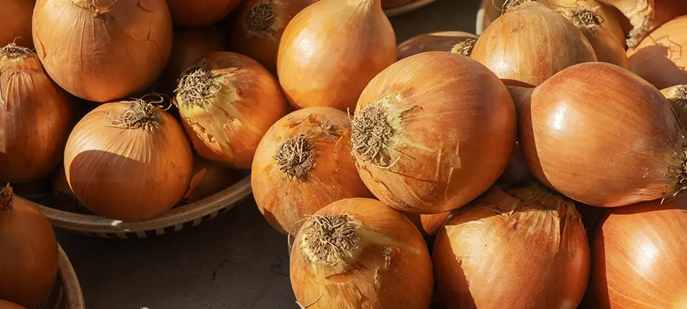 Soğanın cilde faydaları neler? Soğan cildi güzelleştirir mi? Soğanın cilde faydaları neler? Soğan cildi güzelleştirir mi?