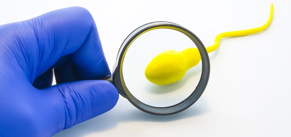 Sperm kalitesini arttırmanın yolları nelerdir? Sperm kalitesini neler düşürür?