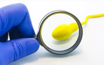 Sperm kalitesini arttırmanın yolları nelerdir? Sperm kalitesini neler düşürür?