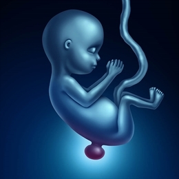 Spina Bifida Nedir, Belirtileri ve Nasıl Tedavi Edilir?
