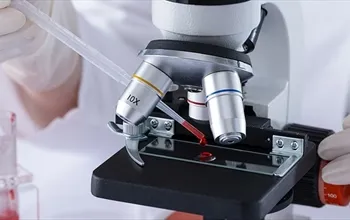 TGFH kan tahlili nedir? TGFH testi neyi gösterir?