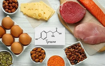 Tirozin faydaları nelerdir? Bilimsel kanıtlarla değerlendirme