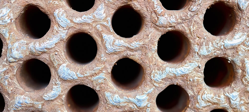 Tripofobi (delikli el fobisi) nedir? Tripofobinin belirtileri nelerdir?