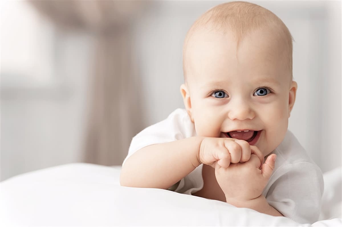 Tüp Bebek (IVF) Rehberi