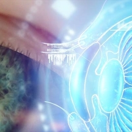 Katarakt Nedir ve Katarakt Tedavi Süreci Nasıldır?