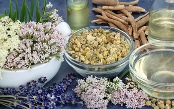 En çok hangi bitki uyku yapar? En hızlı uykuyu ne getirir?