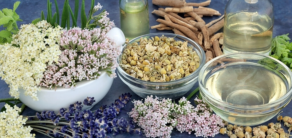 En çok hangi bitki uyku yapar? En hızlı uykuyu ne getirir?