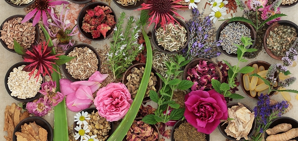 Vücutta kaşıntıya bitkisel olarak ne iyi gelir?