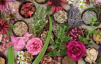 Vücutta kaşıntıya bitkisel olarak ne iyi gelir?