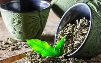 Yeşil çayı her gün içmek: Faydaları ve şaşırtıcı etkileri