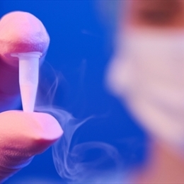 Yumurta Dondurma İşlemi Nedir? Kimlere Yapılabilir?