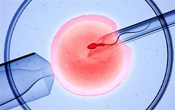 Yumurta Rezervi Düşük Kadınlarda Umut Veren Tedavi: PRP