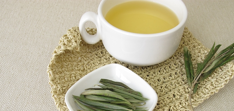 Zeytin yaprağı çayının faydaları nelerdir? Zeytin yaprağı çayının sağlık üzerine etkileri 