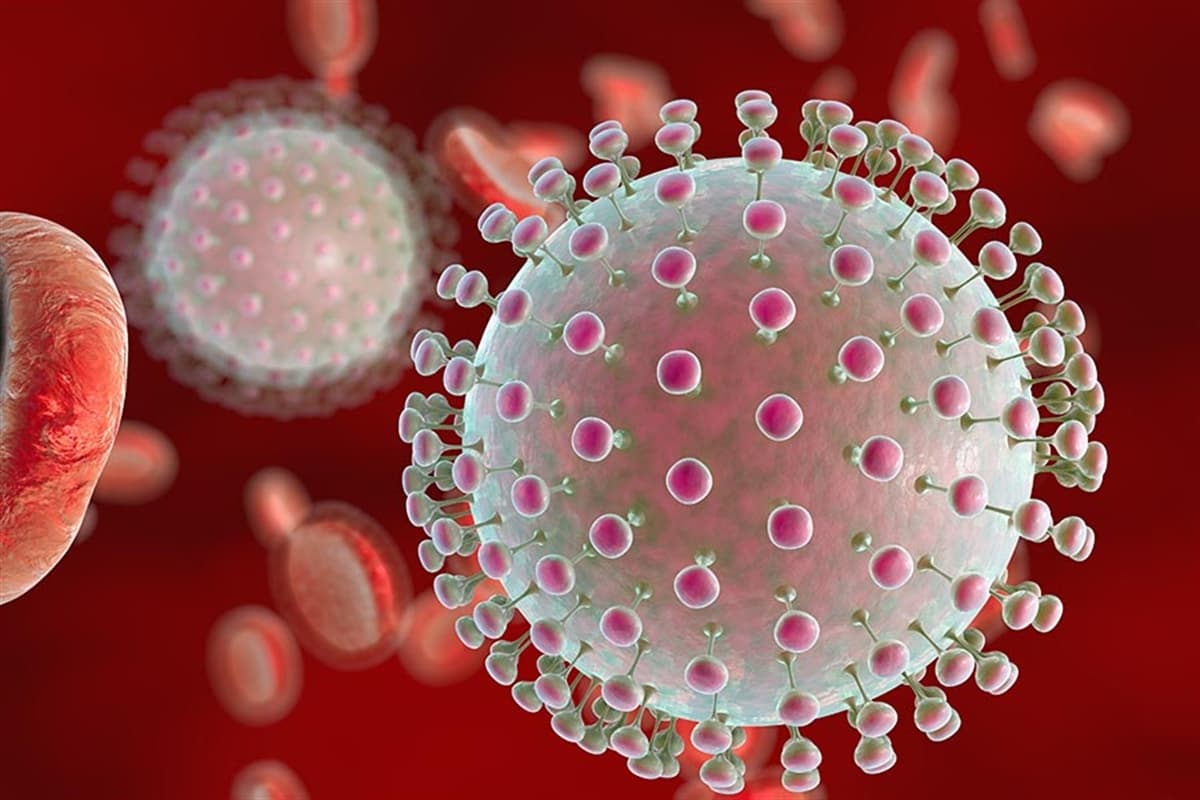 Zika Virüsü Nedir ve Belirtileri Nelerdir? Nasıl Bulaşır?