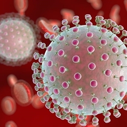 Zika Virüsü Nedir ve Belirtileri Nelerdir? Nasıl Bulaşır?